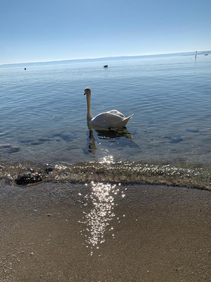 Seebrise Mit Musik Und Wein Meersburg Buitenkant foto