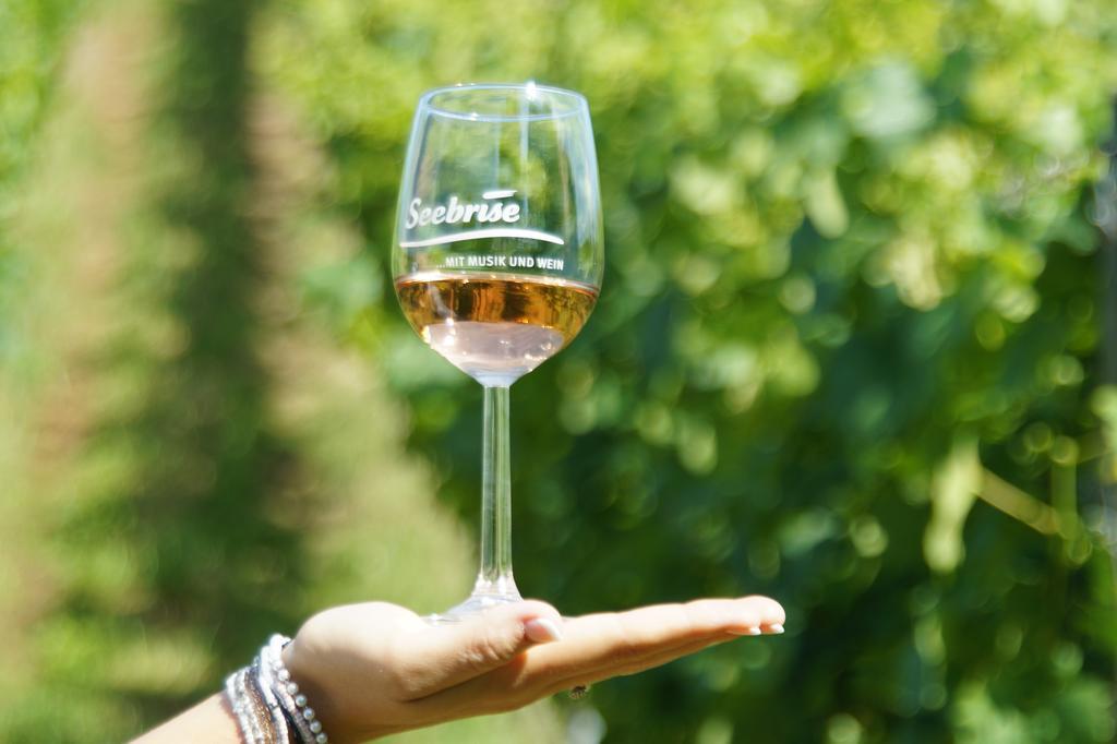 Seebrise Mit Musik Und Wein Meersburg Buitenkant foto